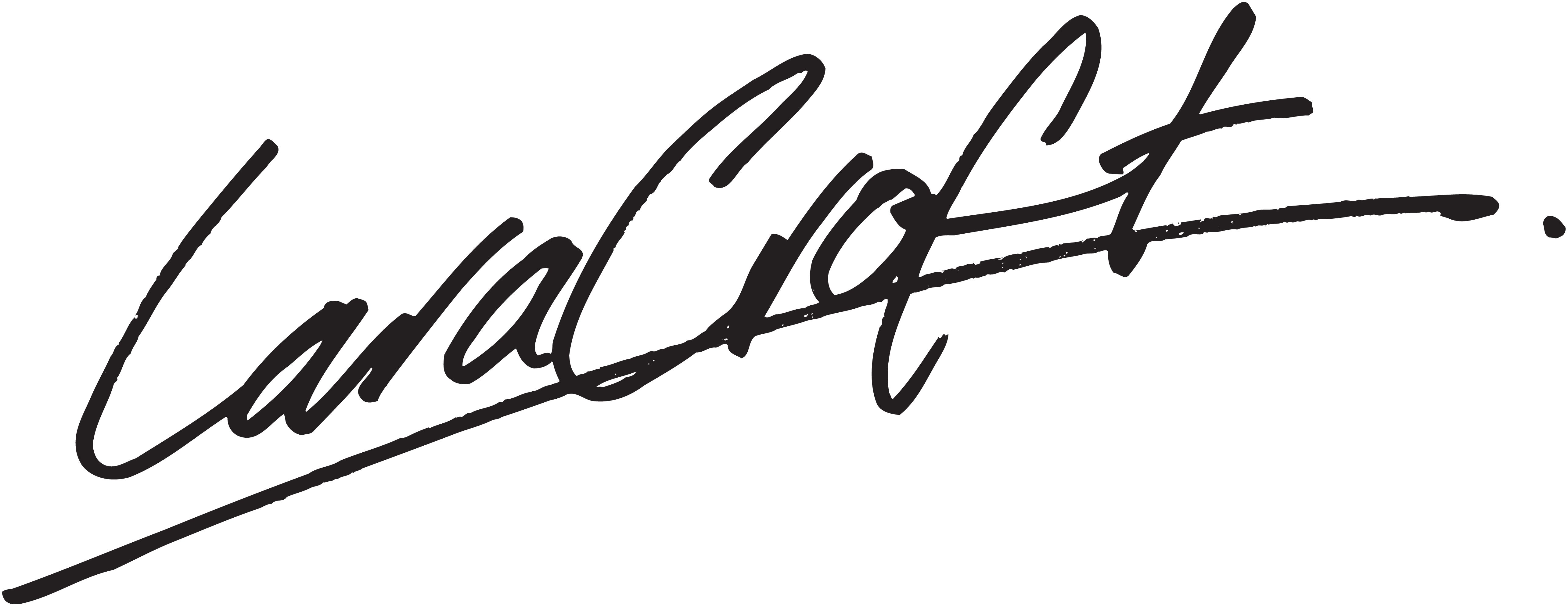 Lara Croft Signature Example